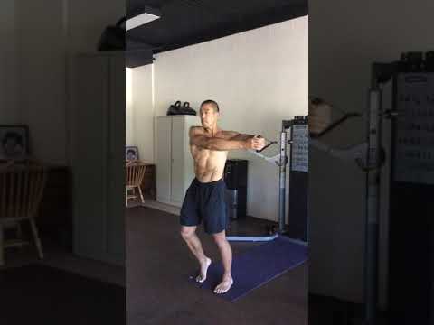 Cable Rotations- Horizontal Torso Soft Handles HD