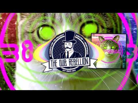 Video thumbnail for Tha Acid Is 2 Loud
