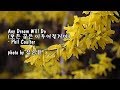 Any Dream Will Do (모든 꿈은 이루어질거야) /Phil Coulter & photo by 김순용