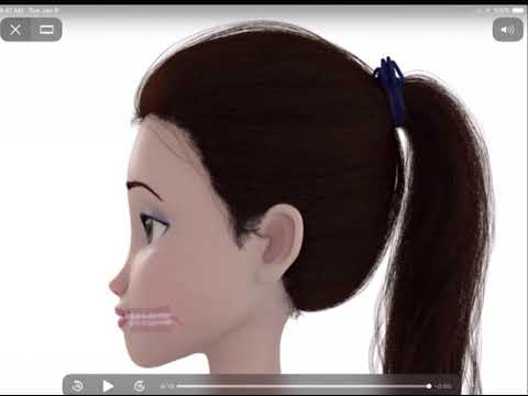 Speech Sounds Visualized