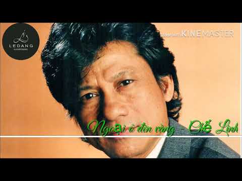 Ngoại ô đèn vàng Sheet - Chế Linh