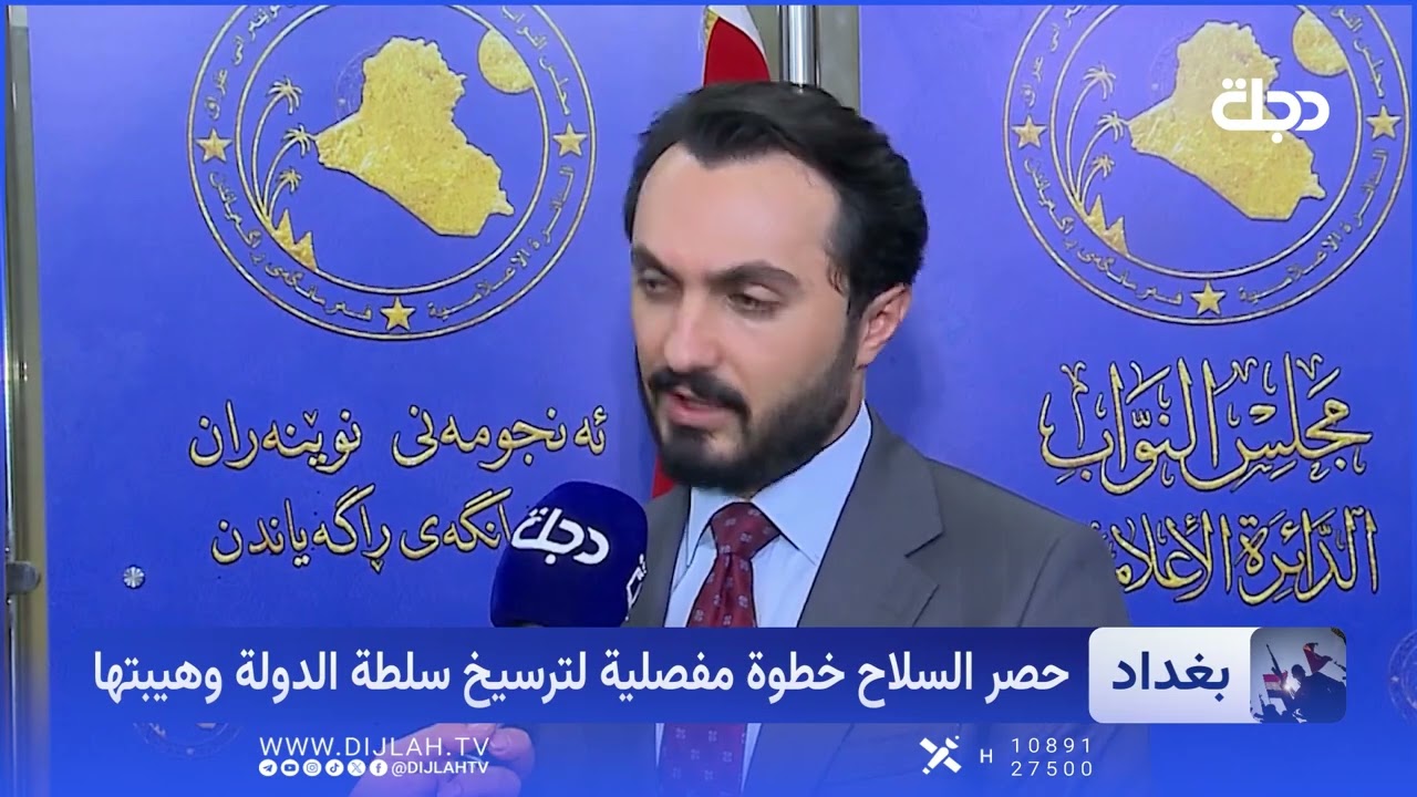 فيديو | حصر السلاح بيد الدولة.. خطوة حاسمة لتعزيز الأمن