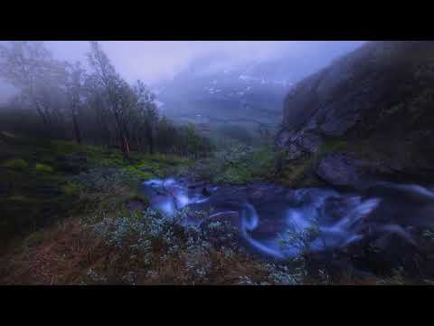 White Moth Black Butterfly - Symmetry (2017) (Progressive Art Rock)