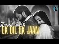 EK DIL EK JAAN (slowed+reverb) song | Love lofi song | Ek Dil Hai Ek Jaan Hai | BHAI RE