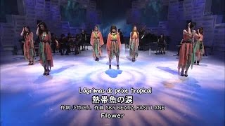 Flower / 熱帯魚の涙 LIVE (SUB PT-BR)