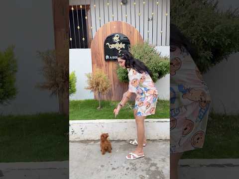 मेरी जादुई पेंसिल का कमाल🪄🐶 #youtubeshorts #shorts #viralshorts #dog @K@Kajalsoni_vlogs