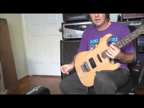Shredneck Unfinished Guitar Kit George Lynch Review