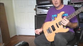 Shredneck Unfinished Guitar Kit George Lynch Review