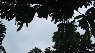 Download lagu Story WA Cinta Terbaik || Cinematic Video mp3