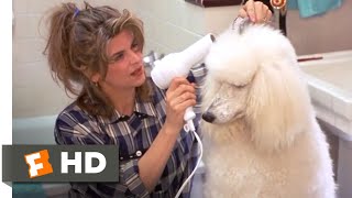 Look Who&#39;s Talking Now (1993) - Pet Problems Scene (5/10) | Movieclips