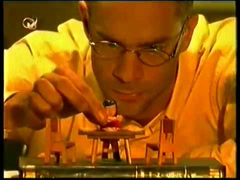 Misterios Urbanos  - El misterio de los Gatitos en botella (parte 1)