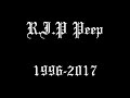 Lil Peep Gym Class 1 Hour Loop