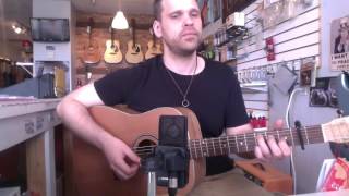 Picking on Ween: Transdermal Celebration fingerstyle.