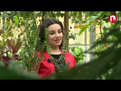 Bildiklərimiz və bilmədiklərimiz - Güllər