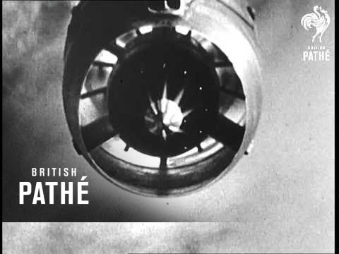 Bloodhound zeigt seine Fähigkeiten (1958)