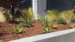 Are You Making a Mistake With Your DIY Garden Design?