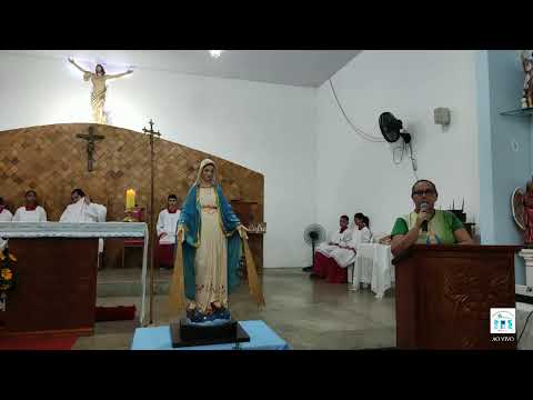 SANTA MISSA AO VIVO