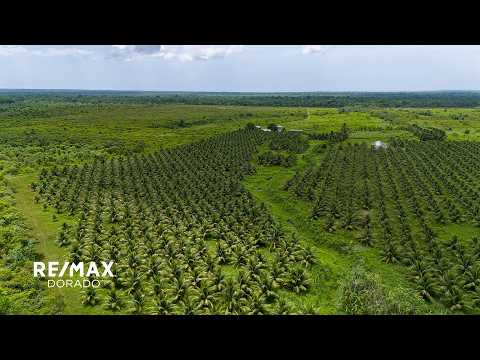 img-video