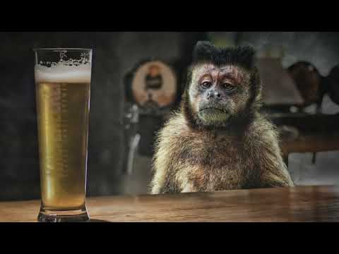 FRIEDEL HIERSENKÖTTER - Wat ne Party (Kerona Welterfolch)