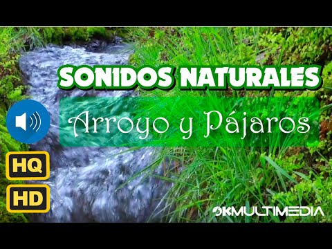 Rio Arriba - Sonido De Arroyos y Pajaros