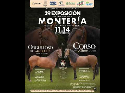 39 EXPOSICION EQUINA GRADO A MONTERÍA  CÓRDOBA- TROCHA Y GALOPE -  DIA 1