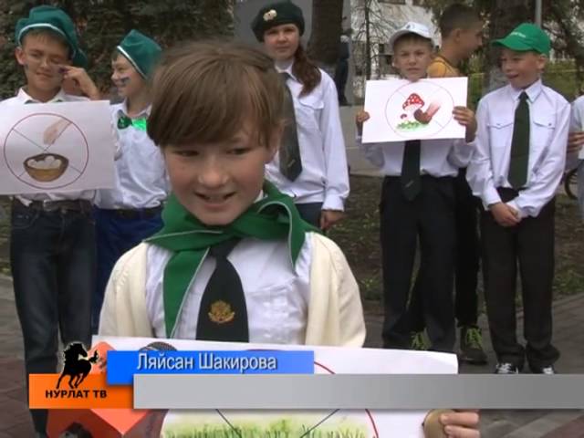 «..квест» и «…фест»… наперевес?