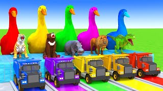Download lagu 5 Giant Duck Cartoon,Cow,Elephant,Tiger,Lion,Dinosaur,Paint Wild Animals Crossing Fountain Animation mp3