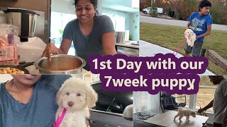 First Day with OUR 7WEEK PUPPY ~Morning to Night Day in my Life with our baby ~ Family Traveler VLOG