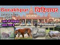 Gorakhpur Zoo Gorakhpur Chidiya Ghar Gorakhpur Zoo Zoo Full Video