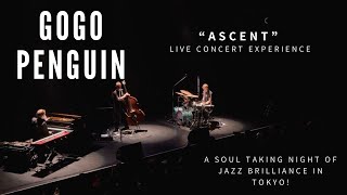 Gogo Penguin - Ascent | Live Concert Spectacular in Tokyo, Japan #gogopenguin #concertexperience