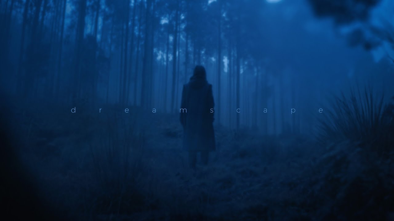 unworn - they won't leave