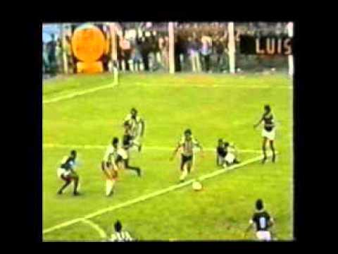 Botafogo 5 x 1 Goytacaz 1979