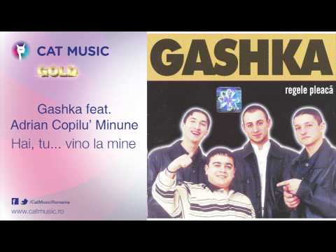 Gashka feat. Adrian Copilu' Minune - Hai, tu...vino la mine