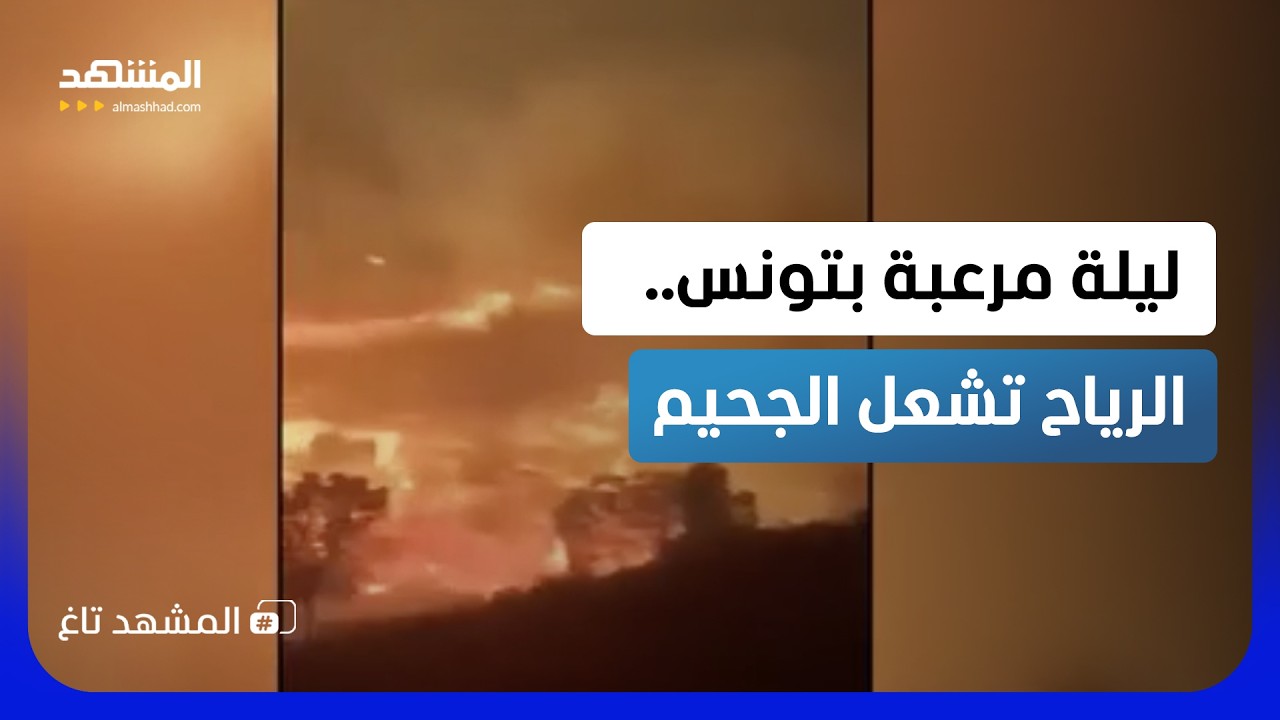 تونس تحترق.. النيران تزحف نحو البيوت ومئات السكان يفرّون  - المشهد تاغ