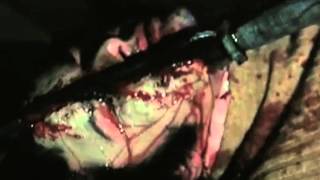 The Budos Band "Aphasia"