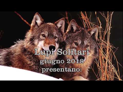 Anello Monte  Bernadia