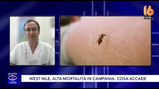 west nile alta mortalita in campania cosa succede