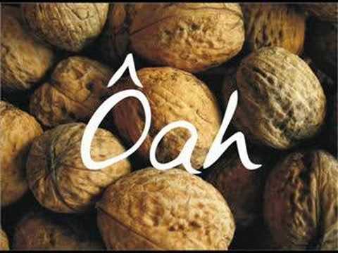 Oa - Sie7e