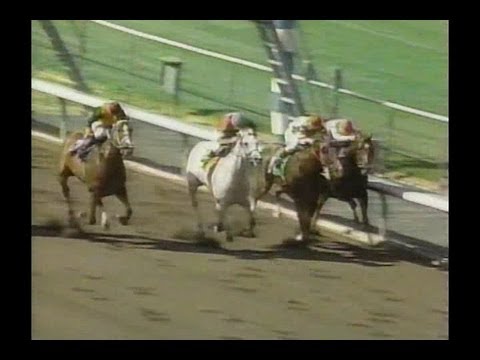 1995 Goodwood Handicap - Soul Of The Matter