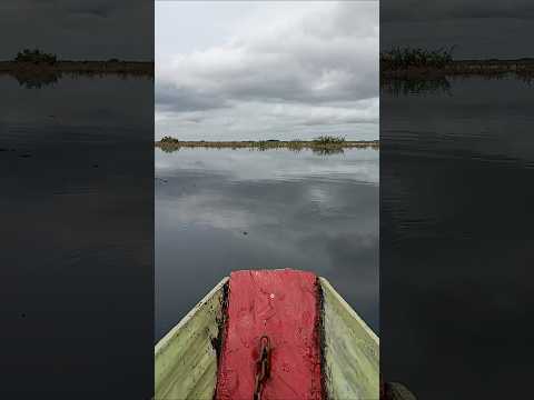 Portal San Nicolás, Esteros del Iberá, Corrientes - Argentina