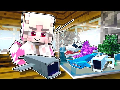 MOMON BUAT AKUARIUM IKAN RAKSASA di MINECRAFT ft @BANGJBLOX 