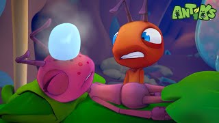 Antidote | 1 Hour of Antiks🐜 | Funny Adventure Cartoons for Kids | Be Brave!