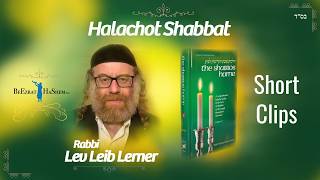 Wearing Earmuffs, Aprons, Bedikah Cloth on Shabbos