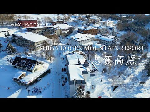【日本長野 EP.1】全日本最大雪場有多誇張？志賀高原3天滑到腿軟【4K】cc字幕