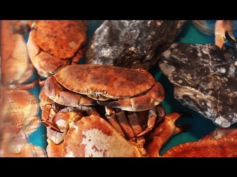 Het Waterhuis - Schilde