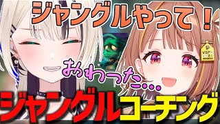 のあ先輩になんとかジャングルをやってもらうために試行錯誤する千燈ゆうひ【千燈ゆうひ/胡桃のあ/ぶいすぽ/切り抜き】