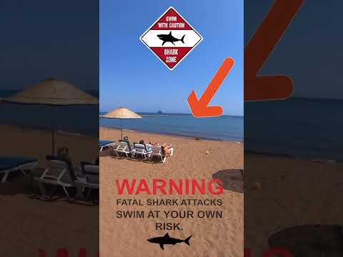Beachgoers Watch in Silence as Shark Attacks just Yards Away 😳🌊