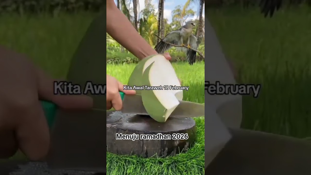 siapa yang sudah kangen ramadhan 2026?☺️ #ramadhan2026 #idulftri #ngabuburit #tarawih #takbiran #fyp