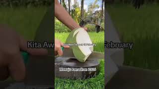 Download lagu siapa yang sudah kangen ramadhan 2026?☺️ #ramadhan2026 #idulftri #ngabuburit #tarawih #takbiran #fyp mp3