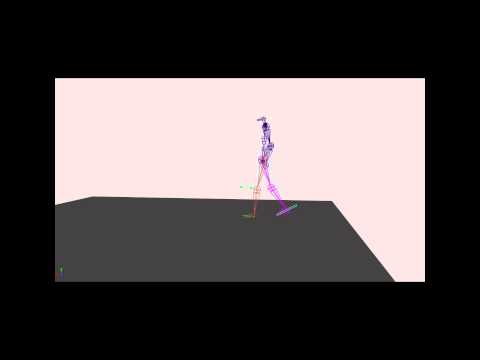 Digital Double video.